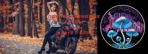 стаф Алексин