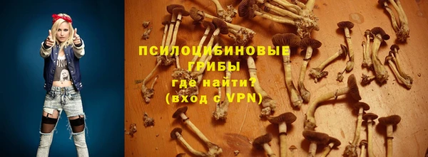 стаф Алексин