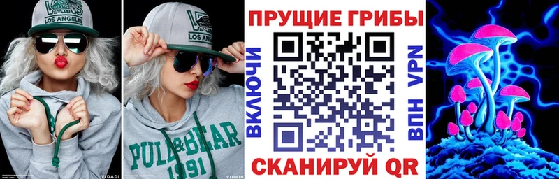 Псилоцибиновые грибы Psilocybe  Мензелинск 